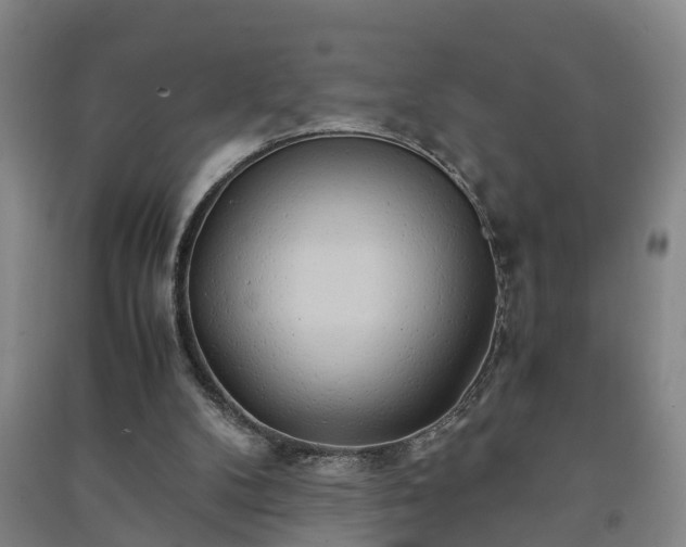 X0000091240104200708161744