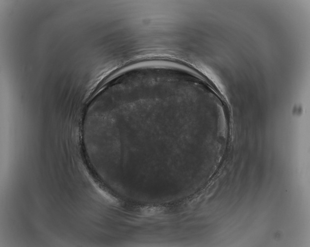 X0000091240105200708161744
