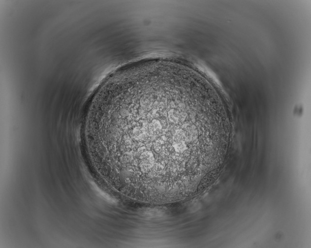 X0000091240106200708161744
