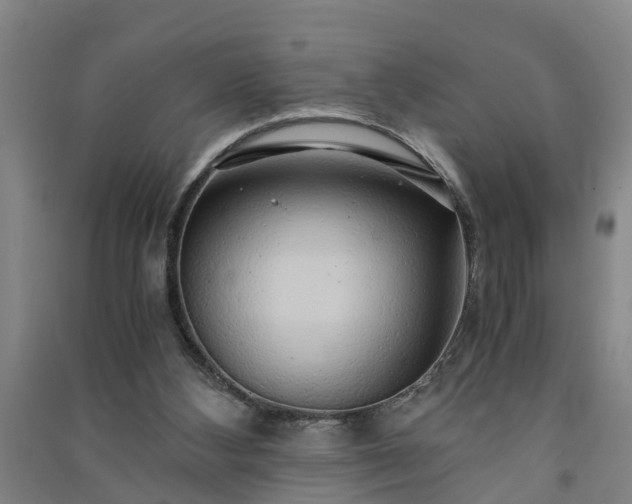 X0000091240108200708161744
