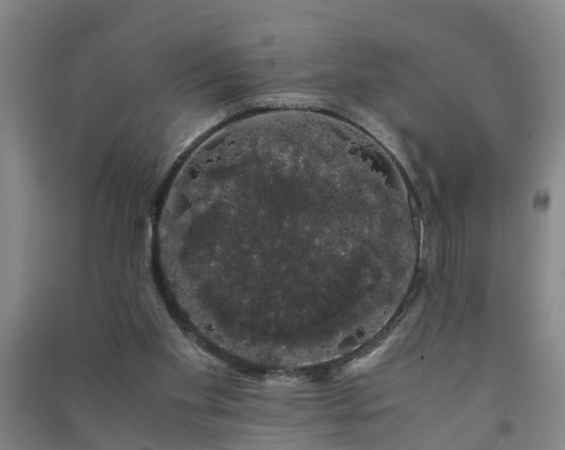 X0000091240109200708161744