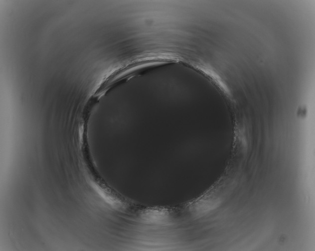 X0000091240110200708161744