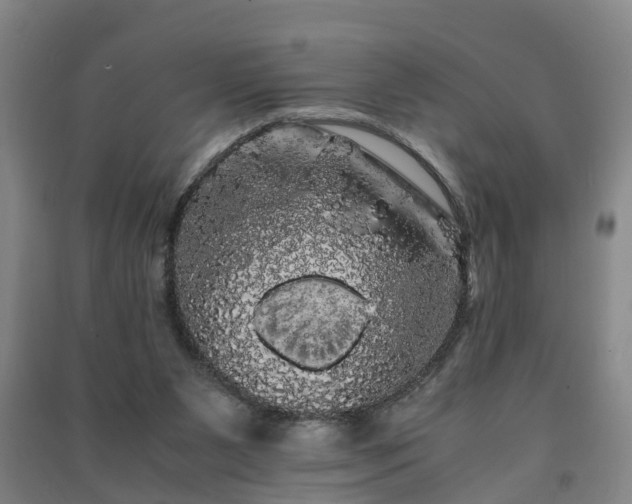 X0000091240111200708161744