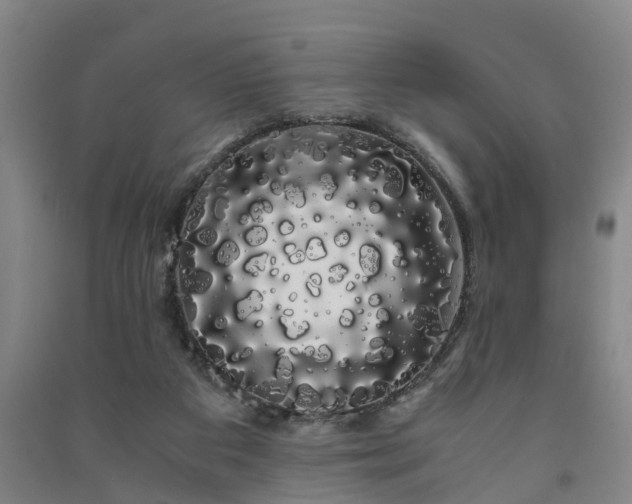 X0000091240113200708161744