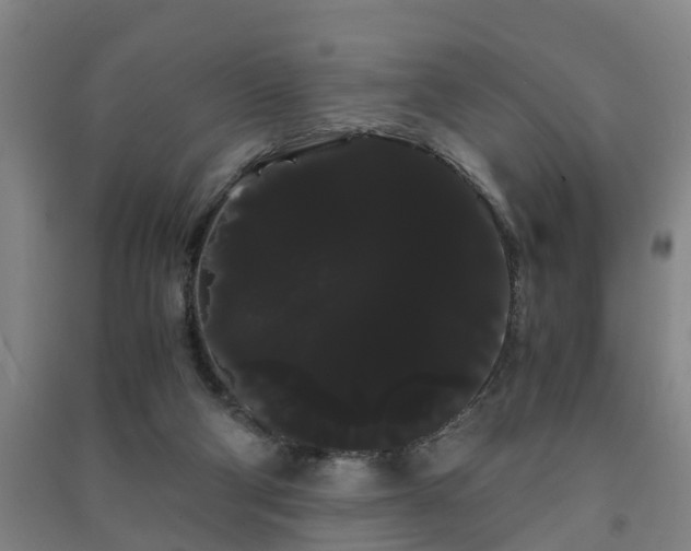 X0000091240114200708161744