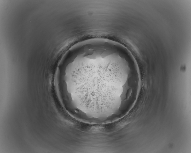X0000091240115200708161744