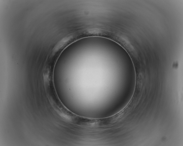 X0000091240116200708161744