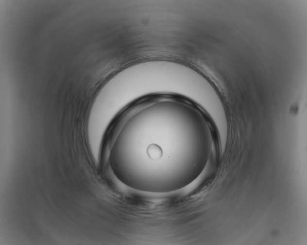 X0000091240117200708161744