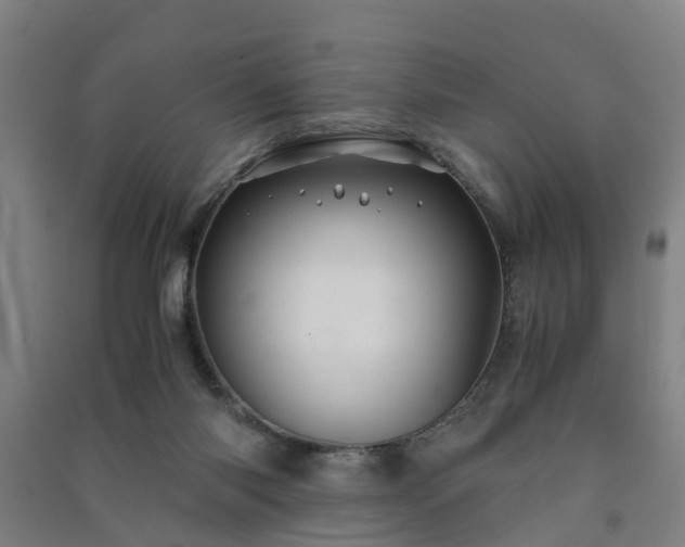X0000091240118200708161744