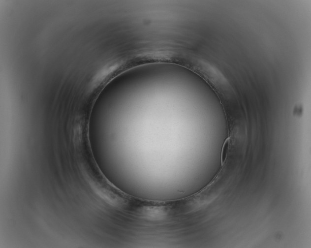 X0000091240120200708161744