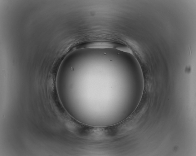X0000091240121200708161744