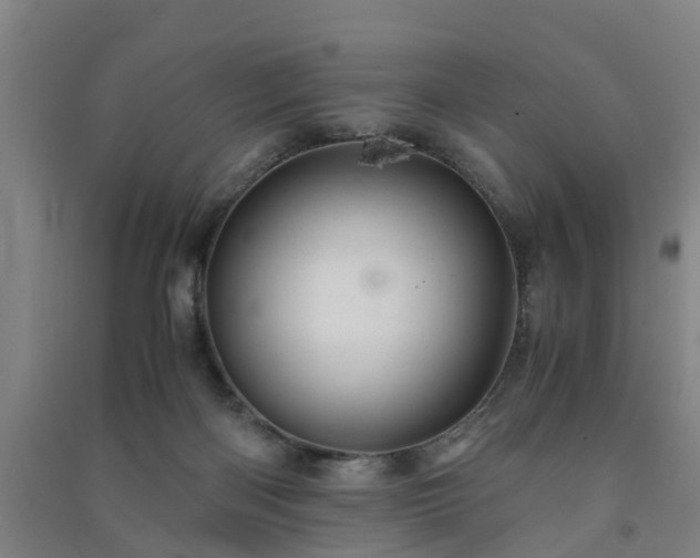 X0000091240122200708161744