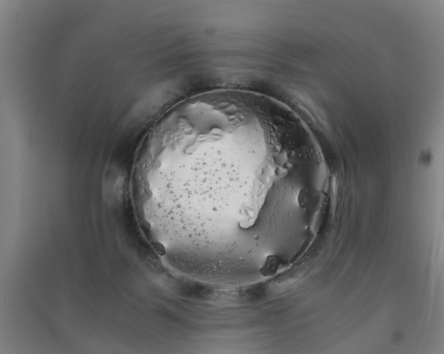 X0000091240123200708161744