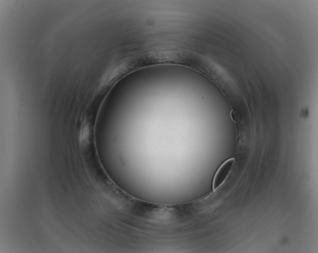 X0000091240124200708161744