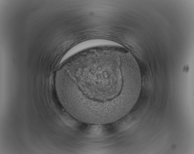 X0000091240127200708161744