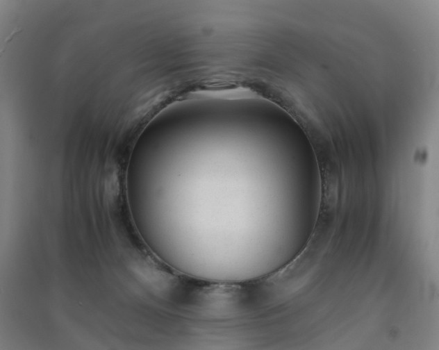 X0000091240128200708161744