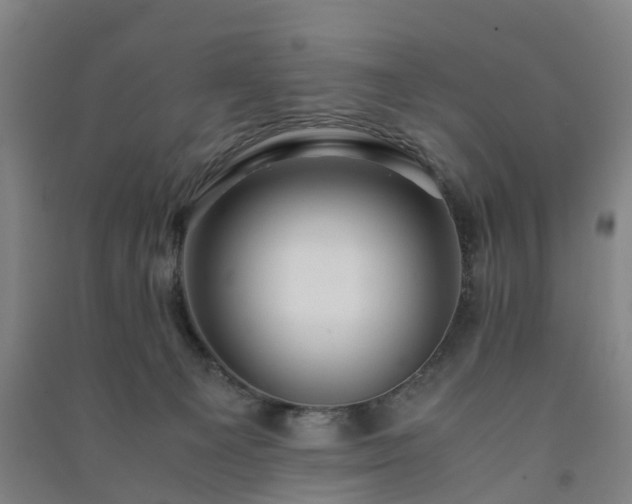 X0000091240129200708161744