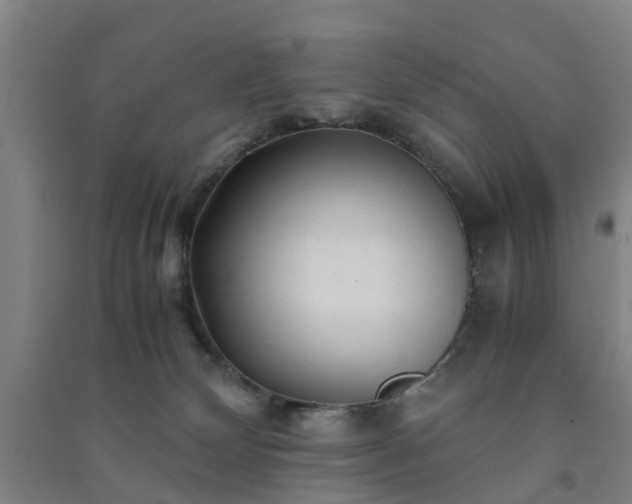 X0000091240132200708161743