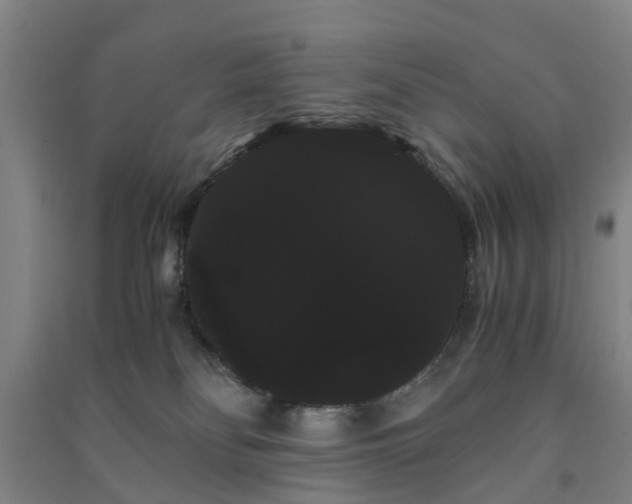 X0000091240134200708161743