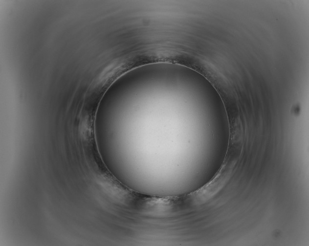 X0000091240140200708161743