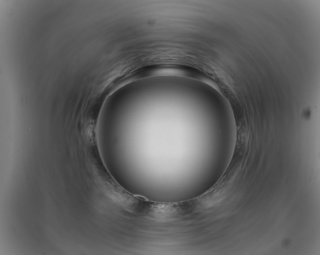 X0000091240141200708161743