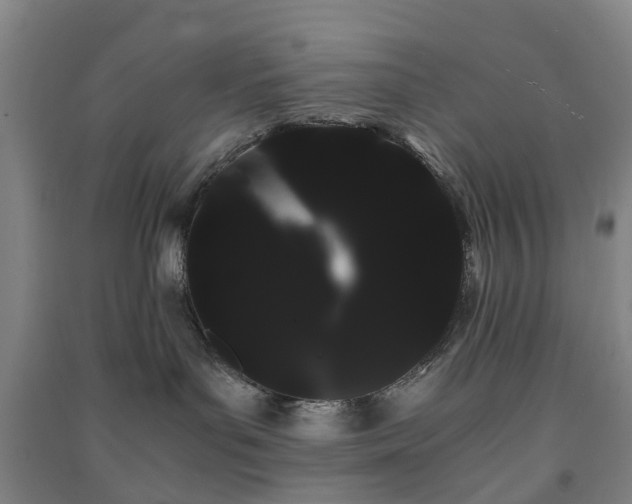 X0000091240143200708161743