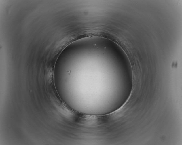 X0000091240144200708161743