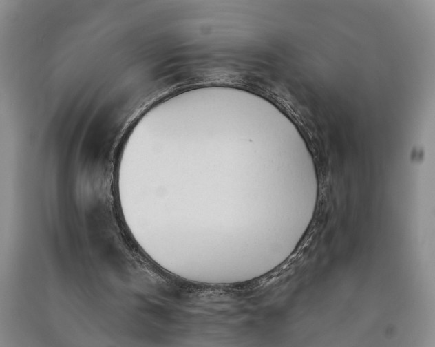 X0000091240146200708161743