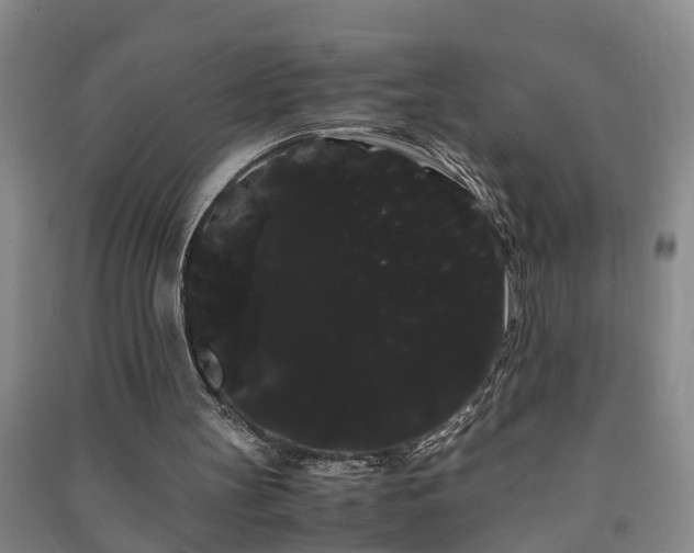 X0000091240147200708161743