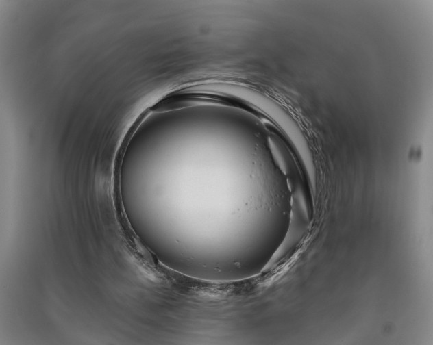 X0000091240148200708161743