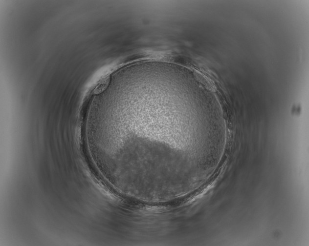 X0000091240149200708161743