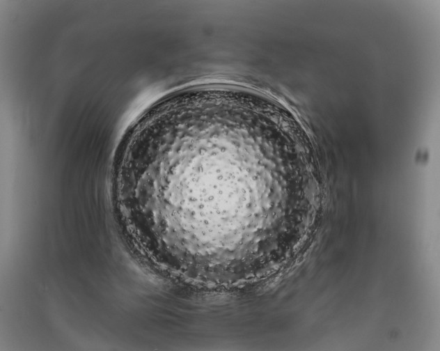X0000091240152200708161743