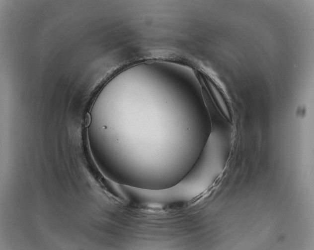 X0000091240154200708161743