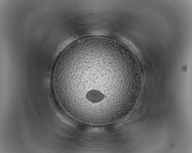 X0000091240155200708161743