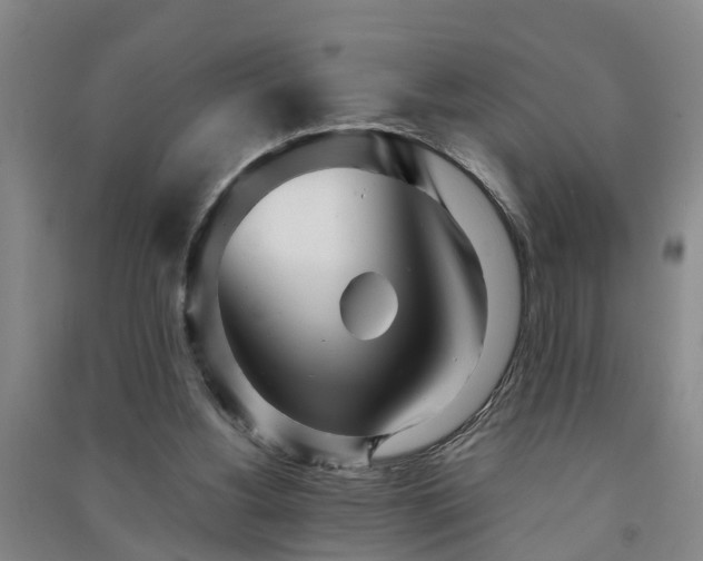 X0000091240156200708161743