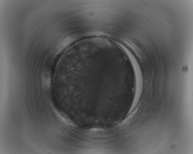 X0000091240158200708161743