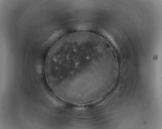 X0000091240161200708161743