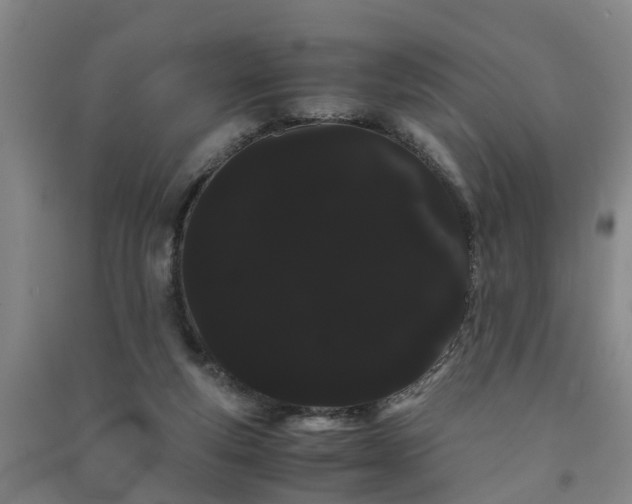 X0000091240163200708161743