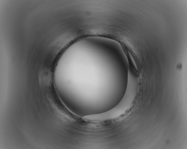 X0000091240164200708161743