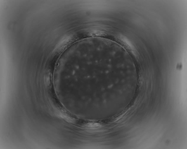 X0000091240169200708161743