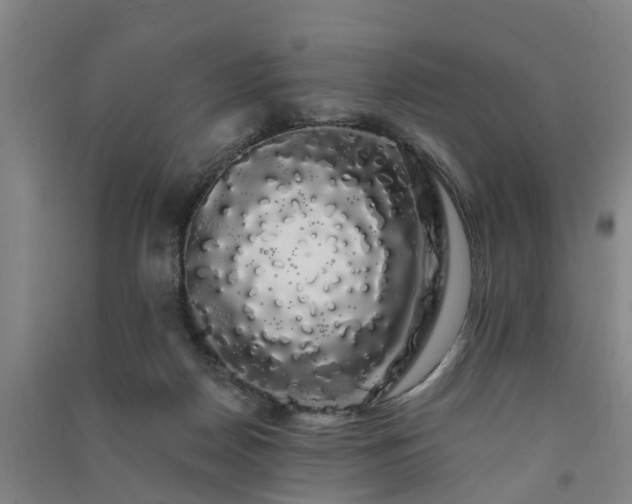 X0000091240170200708161743