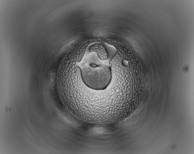 X0000091240171200708161743