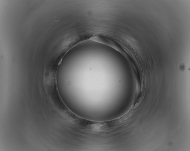 X0000091240172200708161743