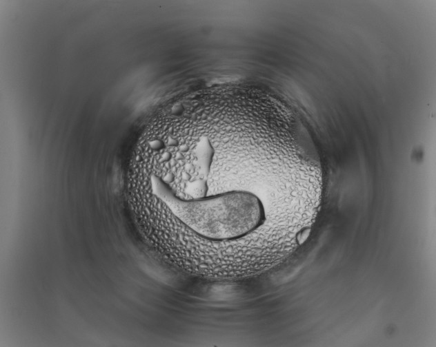 X0000091240173200708161743