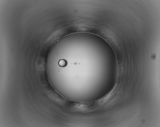 X0000091240174200708161743