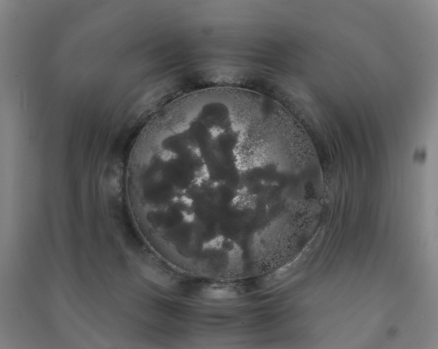 X0000091240175200708161743