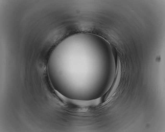 X0000091240176200708161743