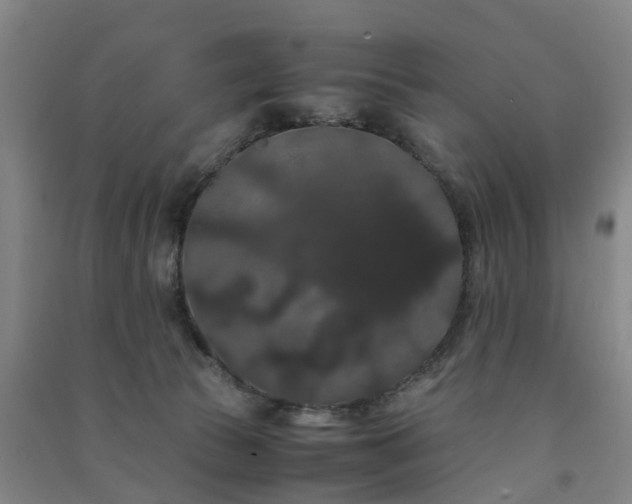 X0000091240177200708161743