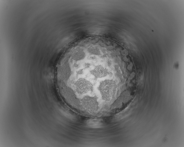 X0000091240179200708161743