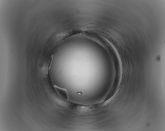 X0000091240180200708161743